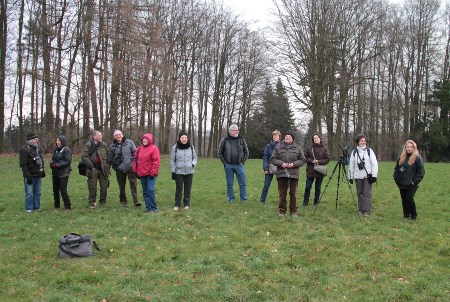 Pinsons La Hulpe 2014A_Plumalia Pinsons La Hulpe 2014A_Plumalia