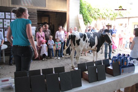 Aby 2014_plumalia Aby 2014_plumalia